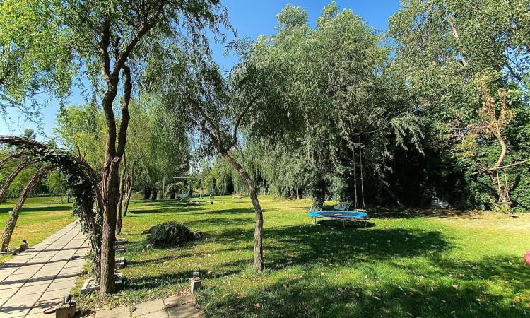 Sisesti Bloc Nou - Lac - Metrou Straulesti