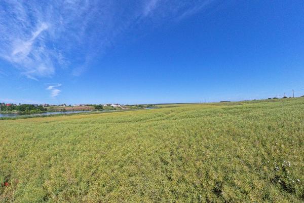 Teren Intravilan Construibil pe Malul Lacului – Balotești, Strada Lacului