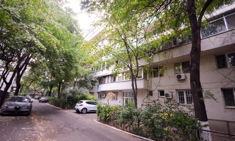Domenii - Mihalache - 2 camere - mobilat/utilat