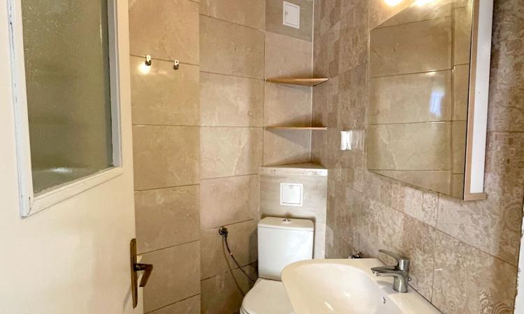 Aviatiei - Maguricea, vila S+P+1E+M, 9 camere, suprafata utila 363 mp