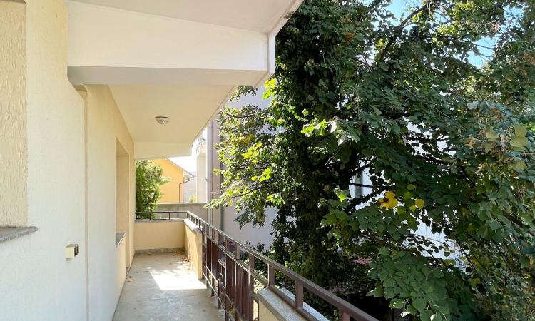 Aviatiei - Maguricea, vila S+P+1E+M, 9 camere, suprafata utila 363 mp