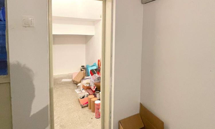 Aviatiei - Maguricea, vila S+P+1E+M, 9 camere, suprafata utila 363 mp
