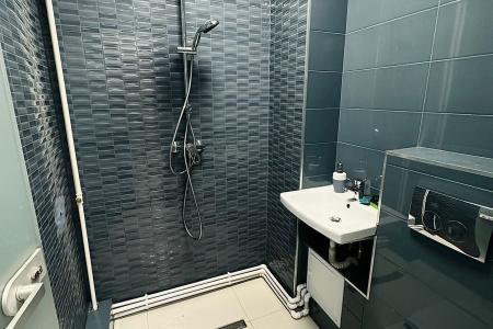 3 Camere - Aviatiei - Aurel Vlaicu - Promenada