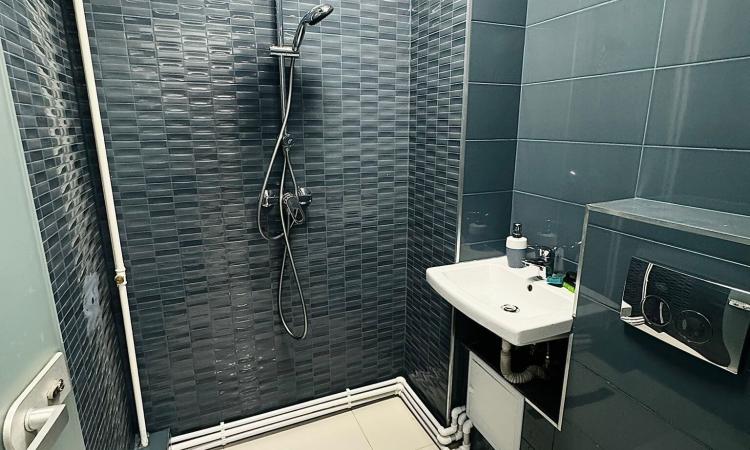 3 Camere - Aviatiei - Aurel Vlaicu - Promenada