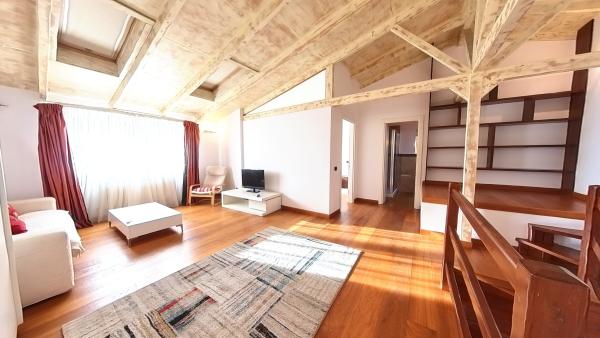 Parcul Carol - Unirii - Str Principatele Unite - Duplex SUT 83MP
