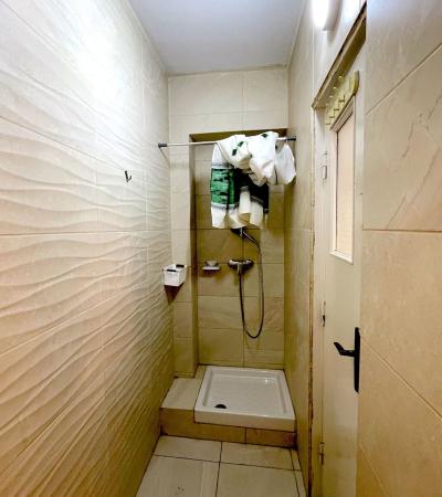 Inchiriere vila - Aviatiei, str. Maguricea