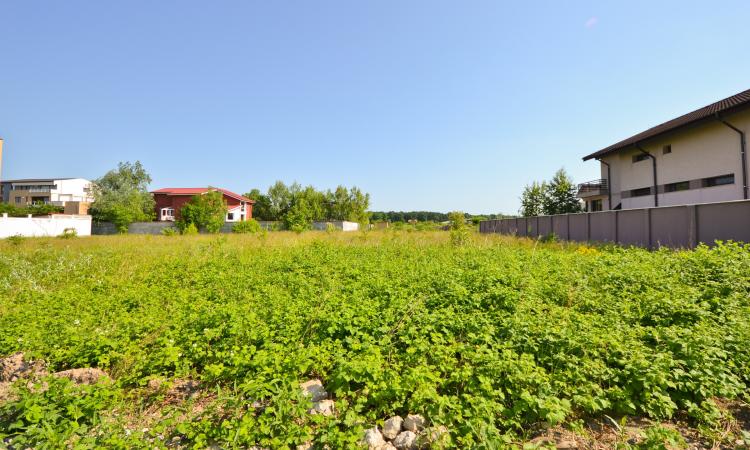 Teren intravilan de vânzare în Băneasa – Drumul Muntele Găina