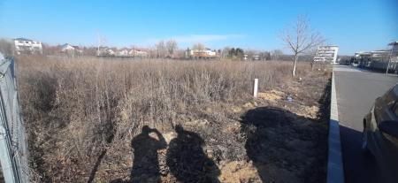 Baneasa, Drumul Muntele Gaina - Teren intravilan de vânzare – 1000 mp
