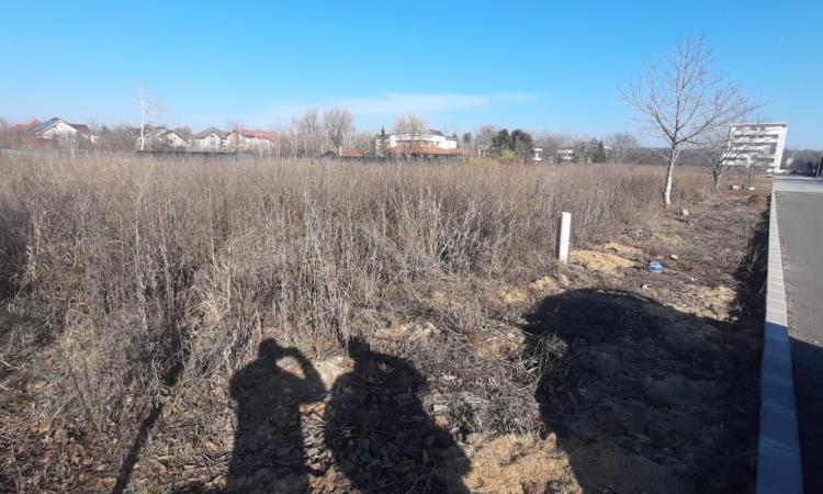 Baneasa, Drumul Muntele Gaina - Teren intravilan de vânzare – 1000 mp