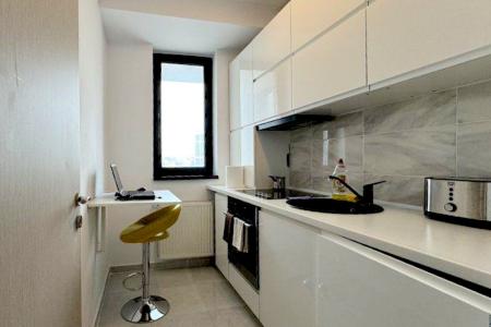 Garsoniera moderna de inchiriat in Grozavesti – Orhideelor 14