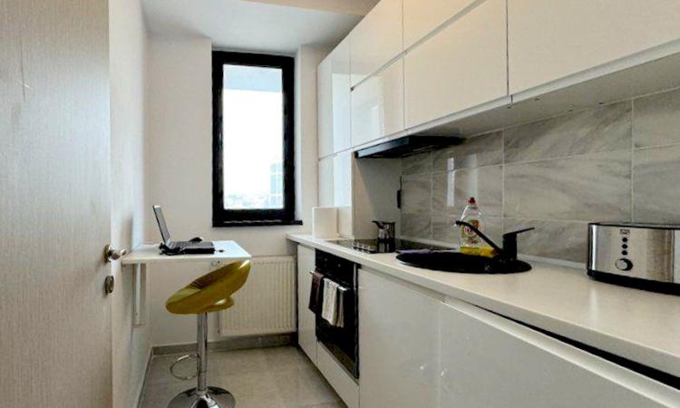 Garsoniera moderna de inchiriat in Grozavesti – Orhideelor 14