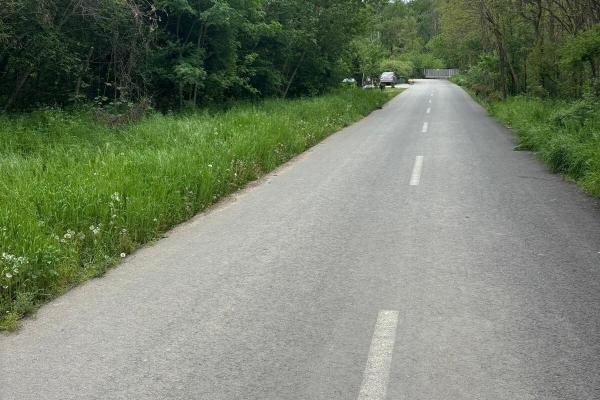Dragomiresti Deal – Strada Pinului
