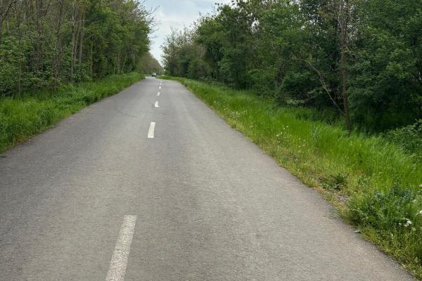 Dragomiresti Deal – Strada Pinului