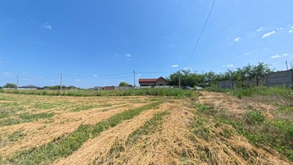 Racari - Teren - 13659 mp - intravilan - constructii