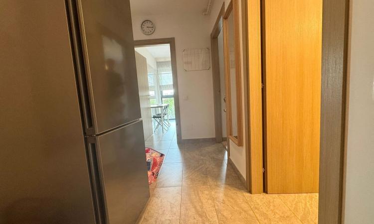 2 Camere - Maia Residence -Sisesti -2 Cocosi