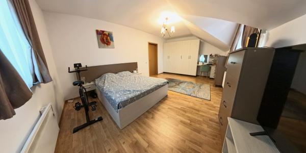Vila 243 mp P+1 Comuna Cernica -Satul Posta - mobiliata/utilata complet