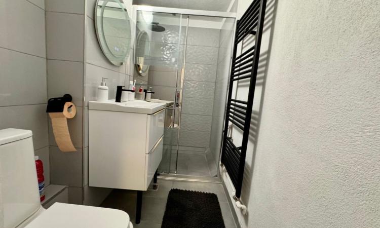 2 Camere - Straulesti - Petrom City - Pet friendly