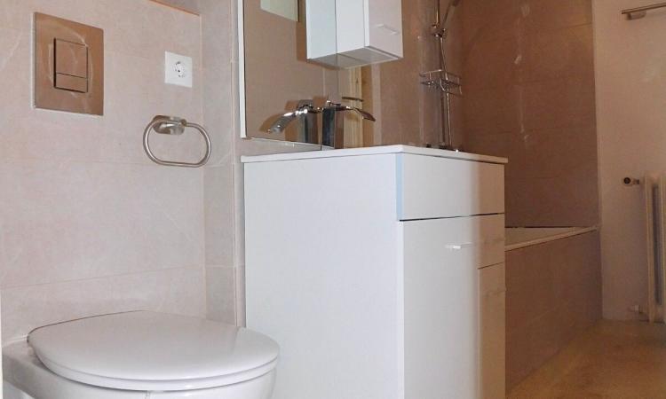 2 Camere - Bucurestii Noi - Pajura - Renovat