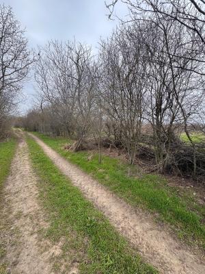 Jilava - Centura Bucuresti - teren intravilan 423 mp