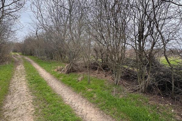 Jilava - Centura Bucuresti - teren intravilan 423 mp