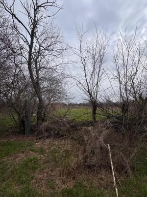 Jilava - Centura Bucuresti - teren intravilan 423 mp