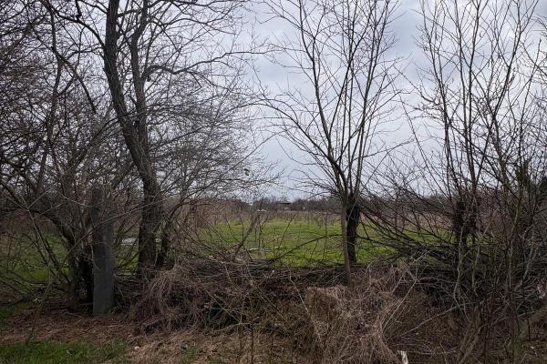 Jilava - Centura Bucuresti - teren intravilan 423 mp