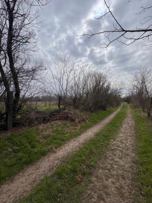 Jilava - Centura Bucuresti - teren intravilan 423 mp