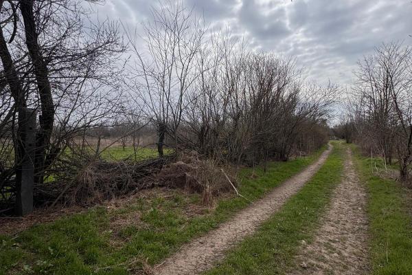 Jilava - Centura Bucuresti - teren intravilan 423 mp