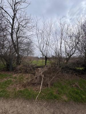 Jilava - Centura Bucuresti - teren intravilan 423 mp