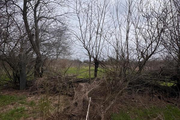 Jilava - Centura Bucuresti - teren intravilan 423 mp
