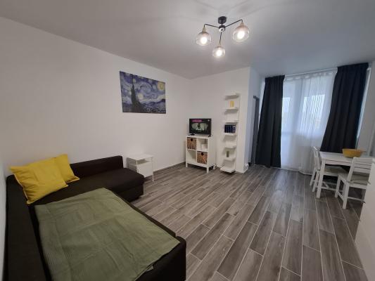 Studio -Titulescu - Turda -Ion Mihalache -Podul Grant