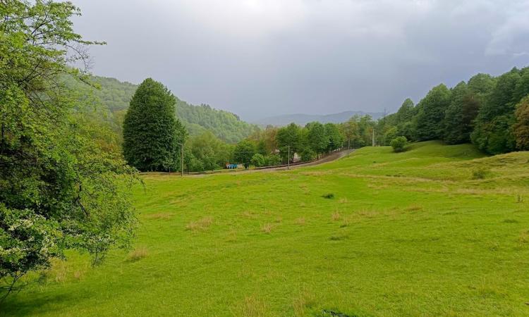 Teren de vanzare Breaza – Nistoresti, Str. Muresului