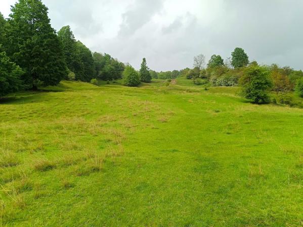 Teren de vanzare Breaza – Nistoresti, Str. Muresului