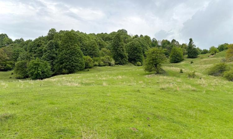 Teren de vanzare Breaza – Nistoresti, Str. Muresului