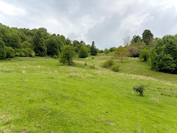 Teren de vanzare Breaza – Nistoresti, Str. Muresului