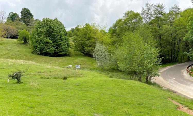 Teren de vanzare Breaza – Nistoresti, Str. Muresului