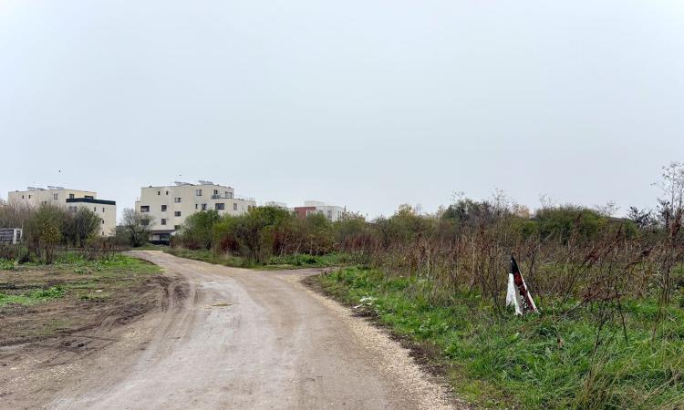 Baneasa – Petre Aurelian, teren 1058 mp