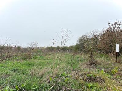 Baneasa – Petre Aurelian, teren 1058 mp