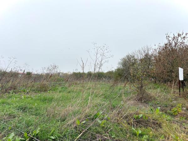 Baneasa – Petre Aurelian, teren 1058 mp