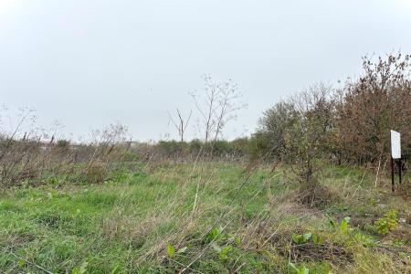 Baneasa – Petre Aurelian, teren 1058 mp