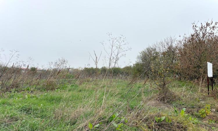 Baneasa – Petre Aurelian, teren 1058 mp