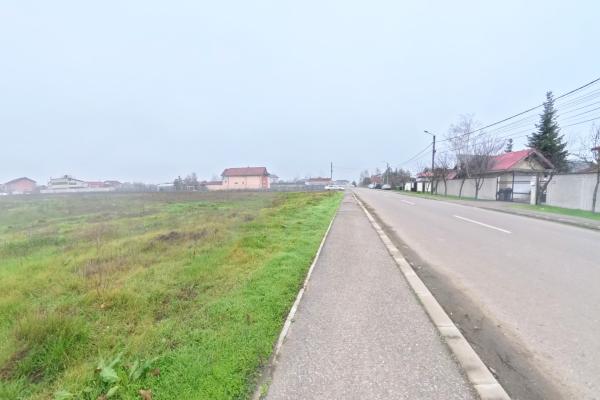 Ilfov - Cornetu - str Trandafirilor - teren 2500mp - toate utilitatile