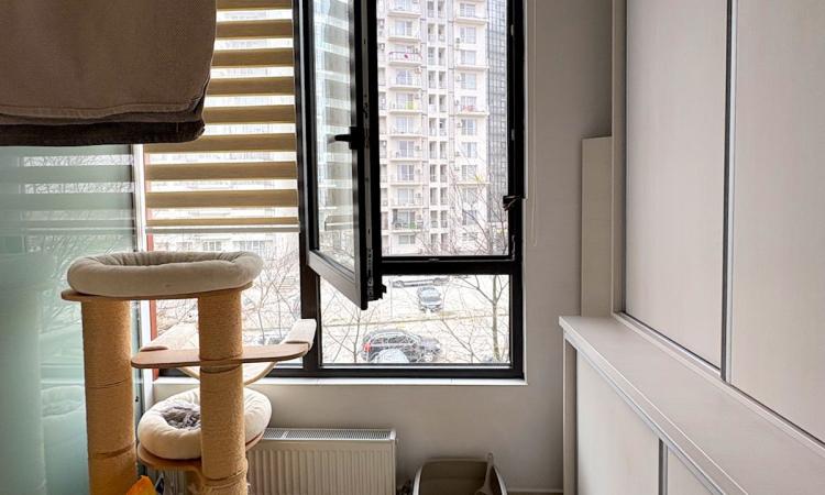 Apartament 2 camere Pantelimon Sos Dobroesti etaj 1 din 5 bloc 2015