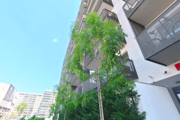 Ghencea / Stellaris Residencias /3 camere mobilat/utilat /NOU / cu parcare proprie