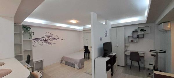 Decebal - Piata Alba Iulia- stradal - studio complet renovat