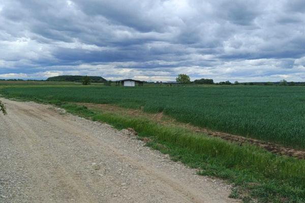 Teren Intravilan – Zonă Rezidențială, Ideal Investiție