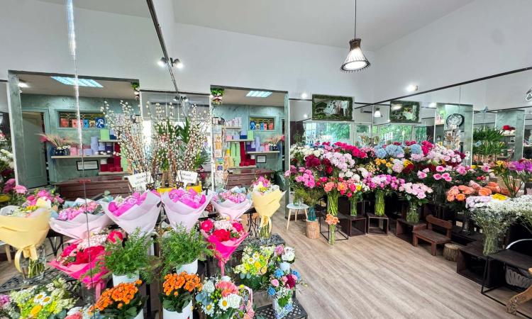 Spatiu Comercial - Investitie - Universitate - Vasile Lascar
