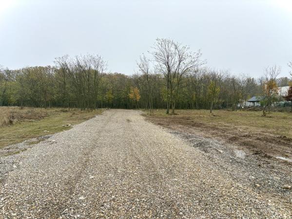 Teren intravilan de vanzare in Snagov – Ciofliceni