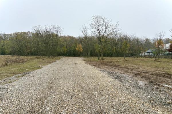 Teren intravilan de vanzare in Snagov – Ciofliceni