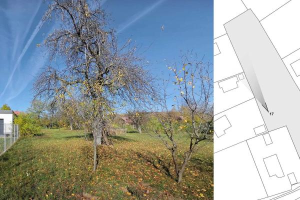 Teren intravilan BREBU MANASTIREI 3163 mp